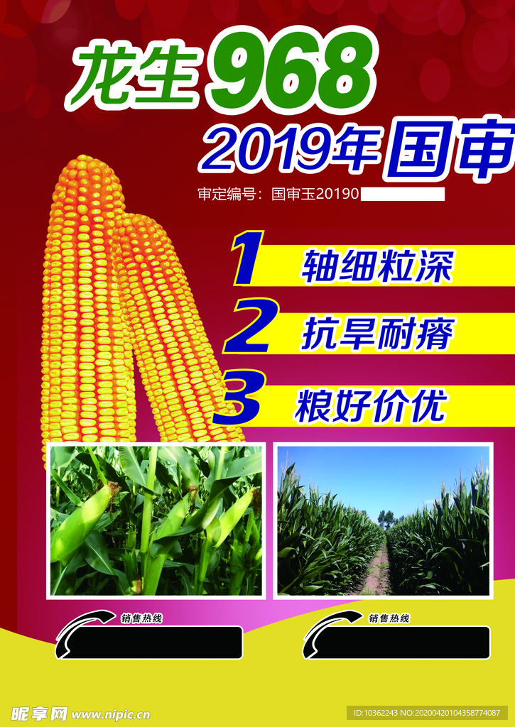 玉米 种子 苞米 龙生 红底