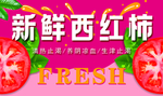 新鲜西红柿  水果背景