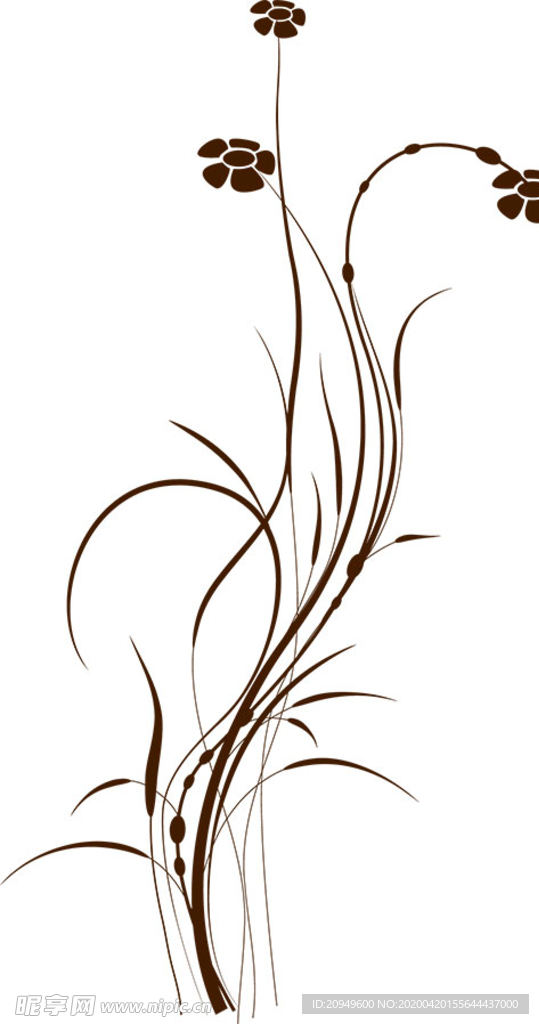 单花素材