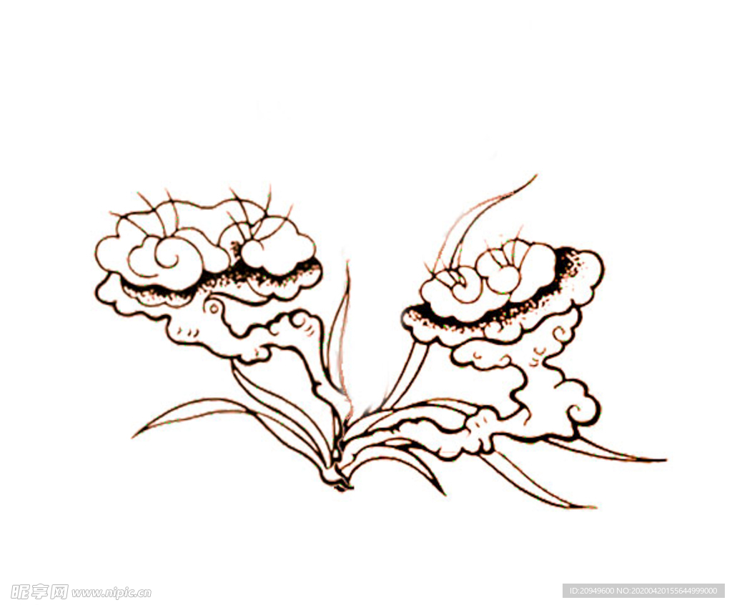 花瓣轮廓