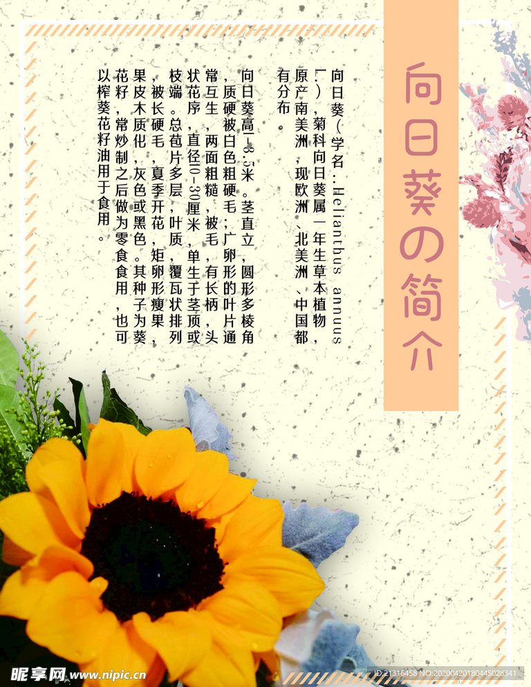向日葵海报