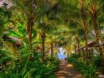 唯美风景