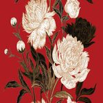 花纹