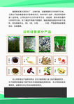 药材单页