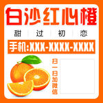 橙子卡片不干胶贴纸