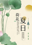 荷花夏日