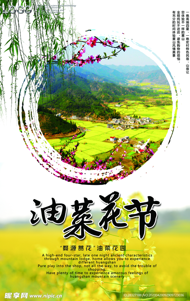 油菜花