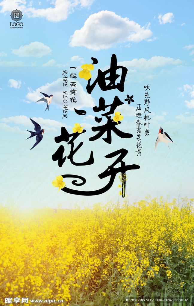 油菜花
