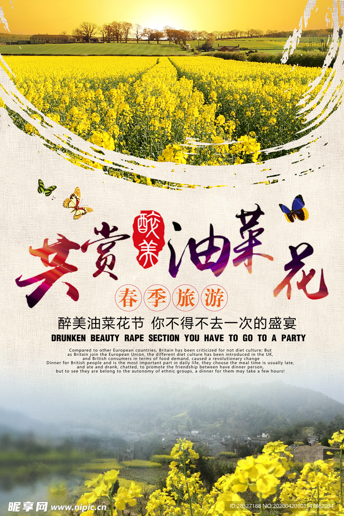 油菜花