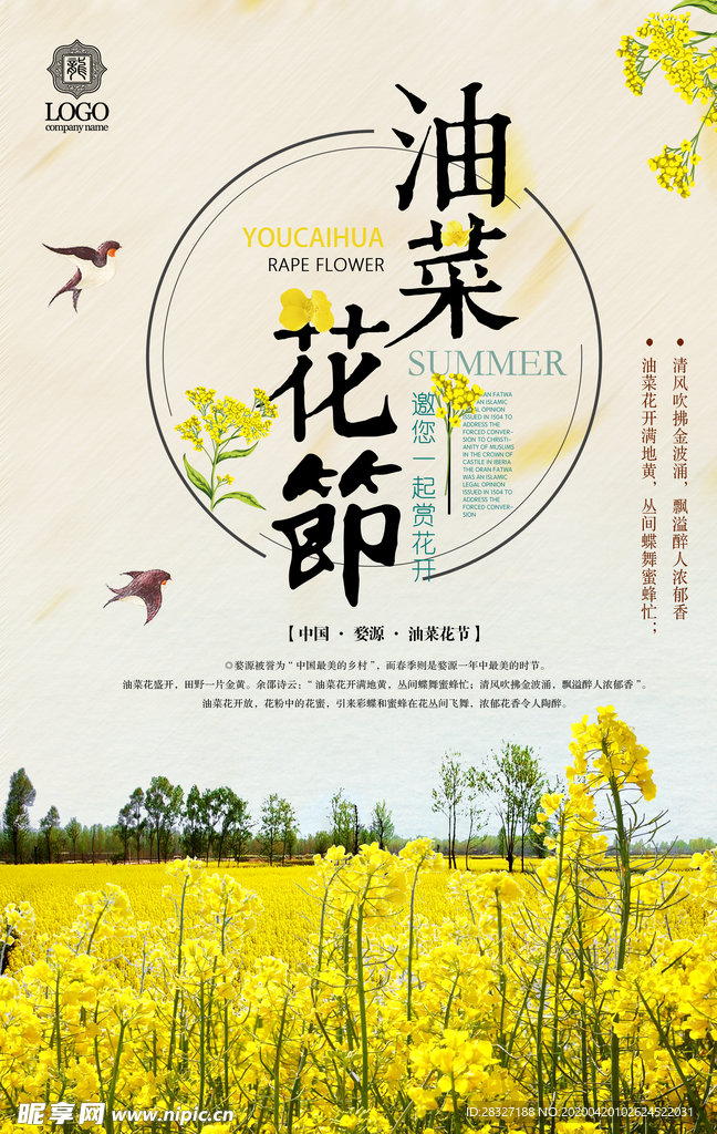 油菜花