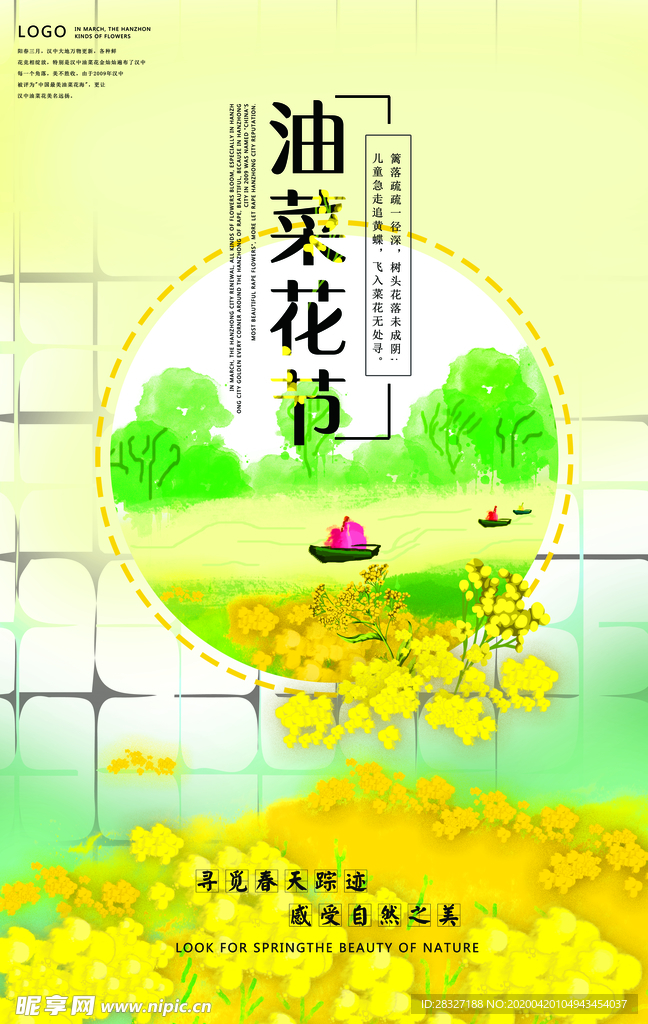 油菜花