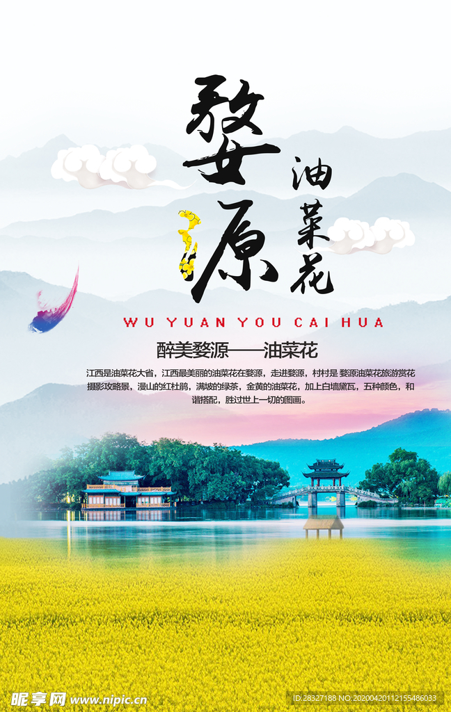 油菜花