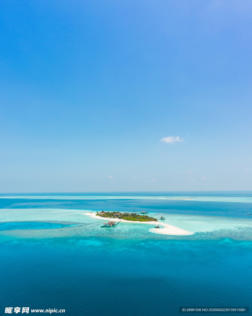 大海