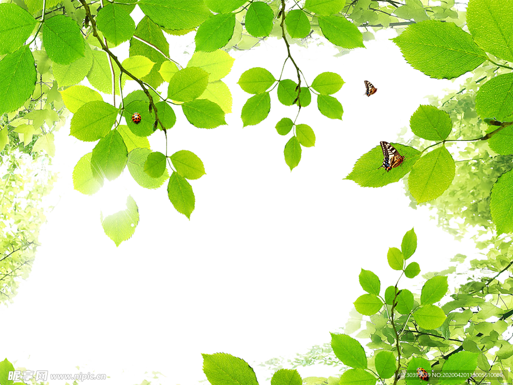 花边