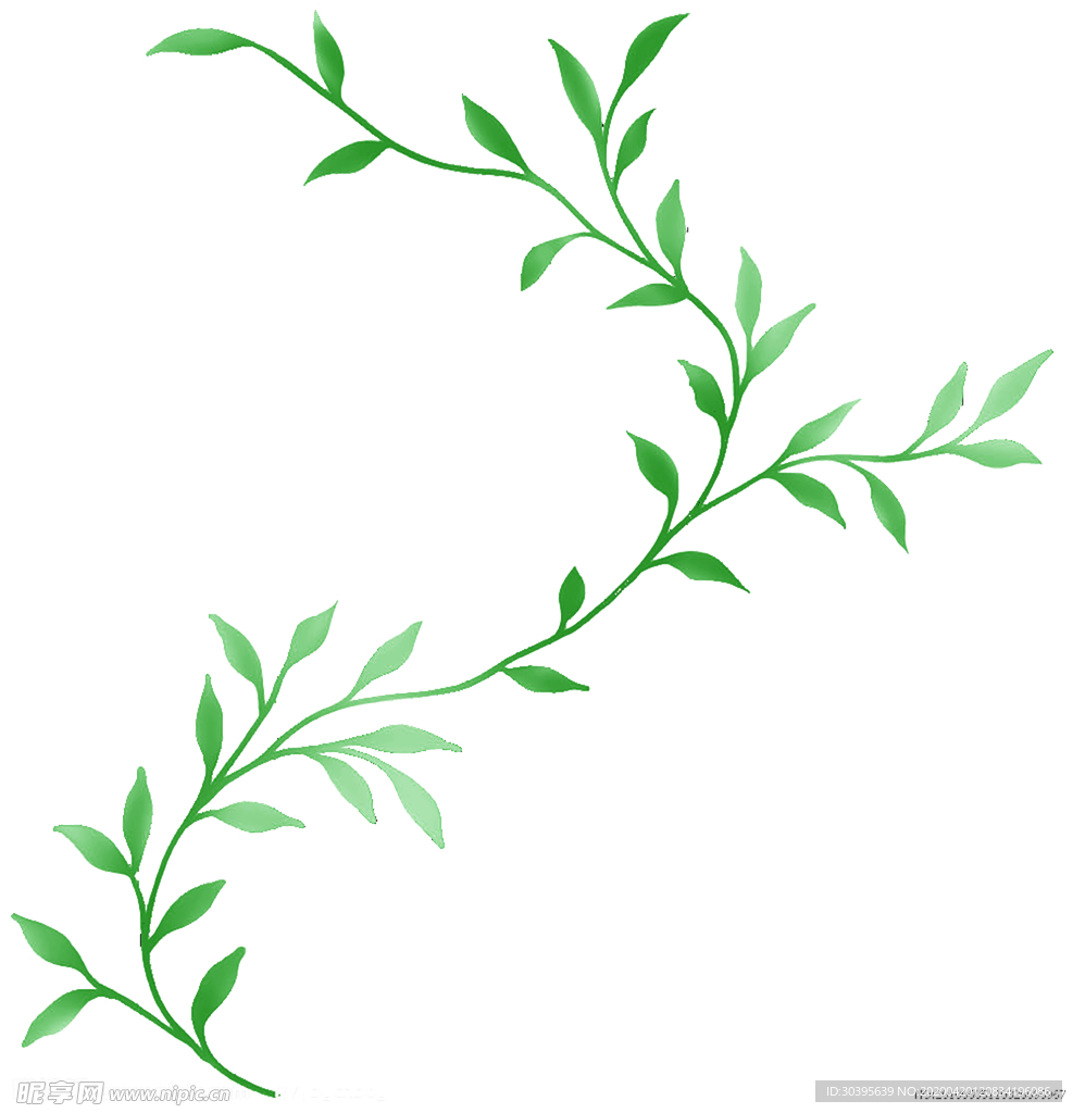 绿色边框