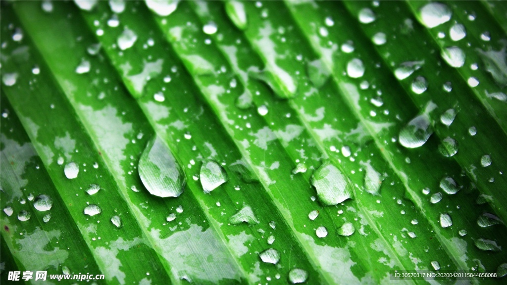 水珠