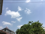 蓝天