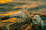 水花溅起