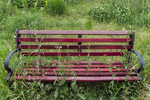 杂草丛生的公园长椅