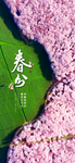 春分二十四节气