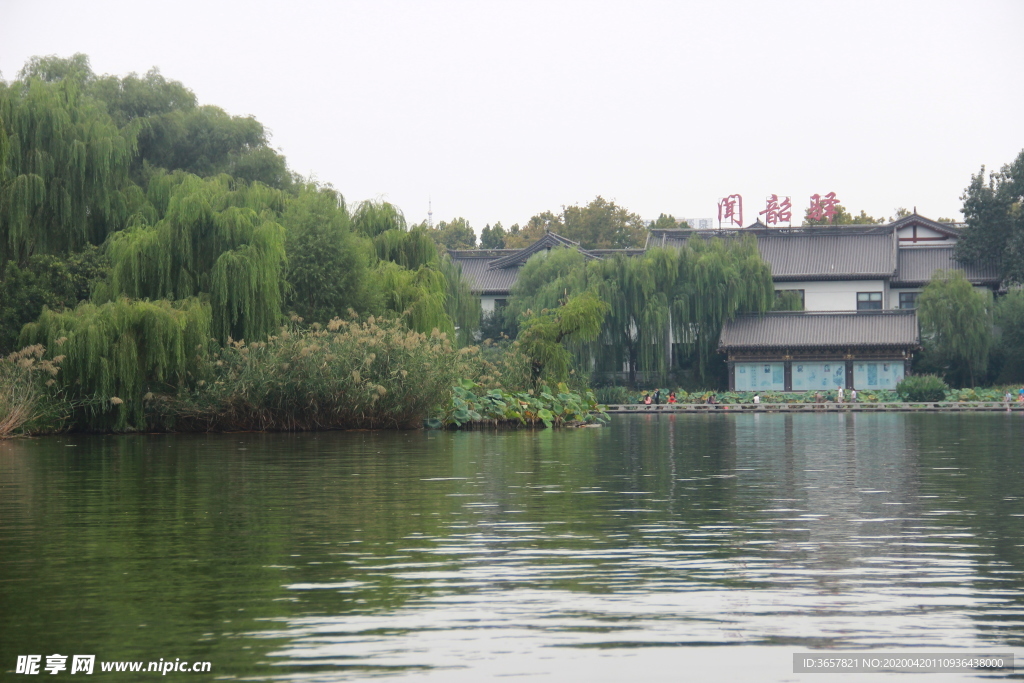 大明湖水面