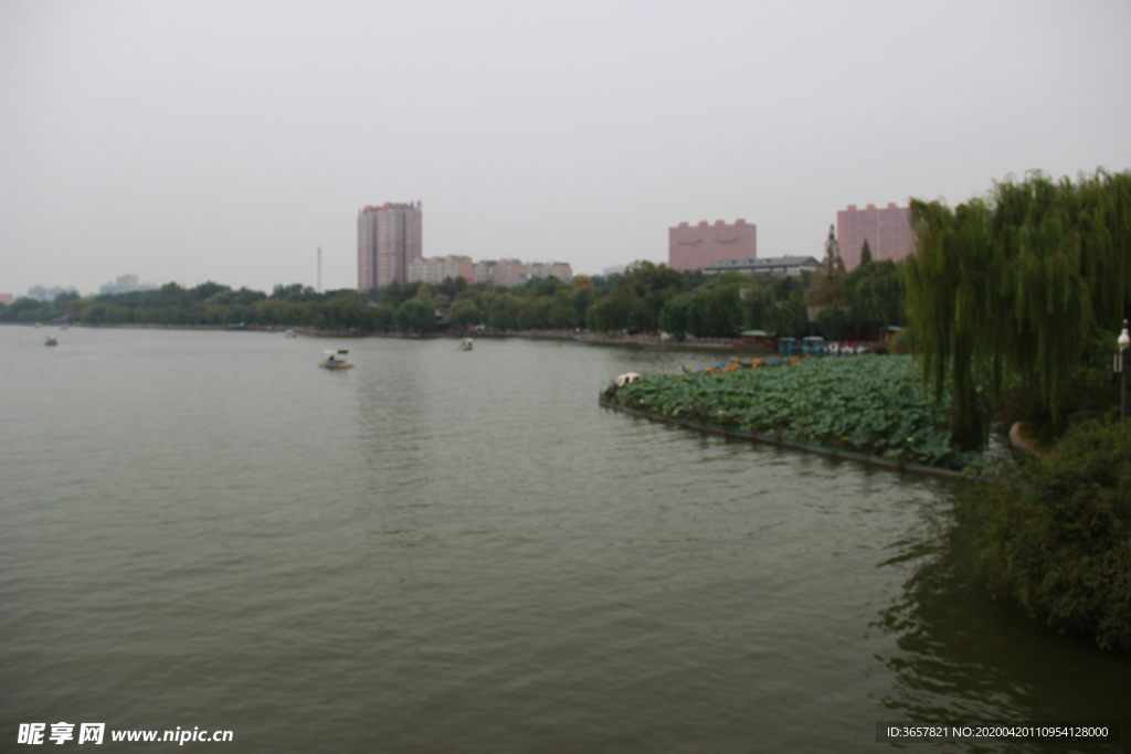 大明湖湖面