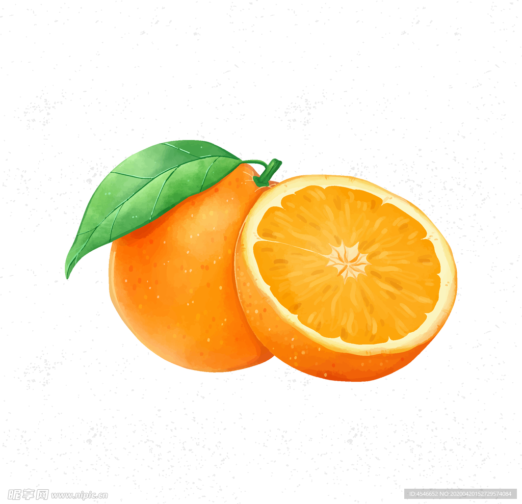 橙子矢量