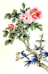 国画牡丹水彩牡丹工笔画