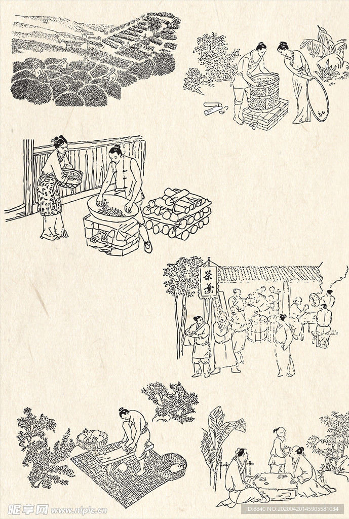 古代制茶图