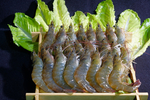 虾