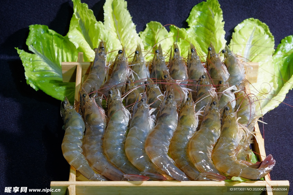 虾