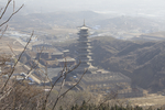 塔