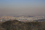山城