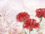粉色底图  粉色背景  粉色光