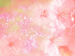 粉色底图  粉色背景  粉色花