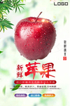 清新苹果海报