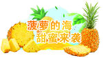 菠萝造型异形