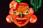 灯盏