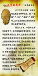 汉字的来历