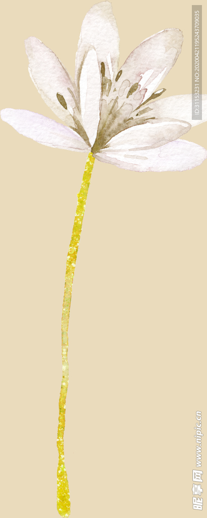 花