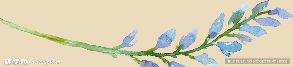 花枝