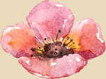 花
