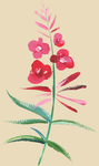 花
