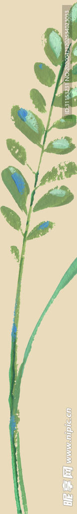 花枝