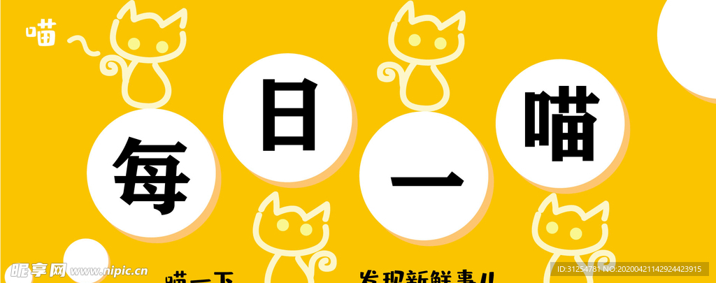 每日一喵公众号bannner