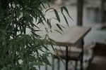竹叶