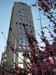 城市高楼