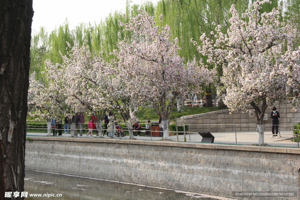 北京元大都城垣遗址公园海棠花溪