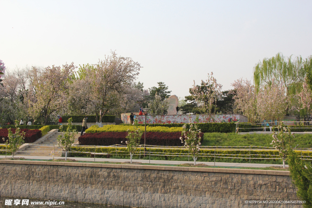 北京元大都城垣遗址公园海棠花开