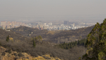 山城